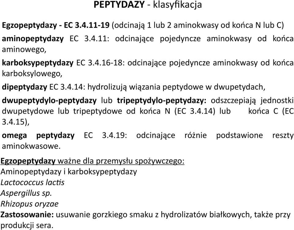 4.14) lub końca C (EC 3.4.15), omega peptydazy EC 3.4.19: odcinające różnie podstawione reszty aminokwasowe.