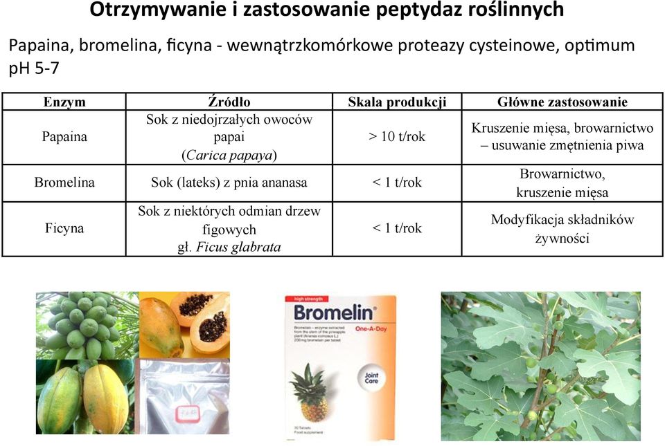 ych owoców papai (Carica papaya) Skala produkcji G"ówne zastosowanie > 10 t/rok Kruszenie mi"sa, browarnictwo usuwanie
