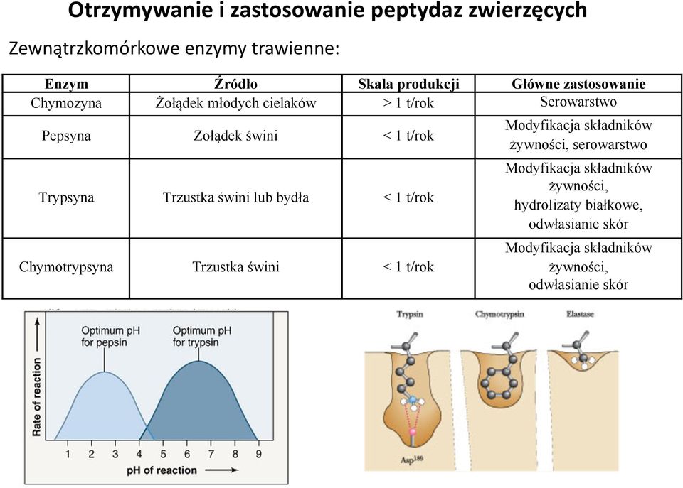o"#dek $wini < 1 t/rok Trypsyna Trzustka $wini lub byd"a < 1 t/rok Chymotrypsyna Trzustka $wini < 1 t/rok Modyfikacja