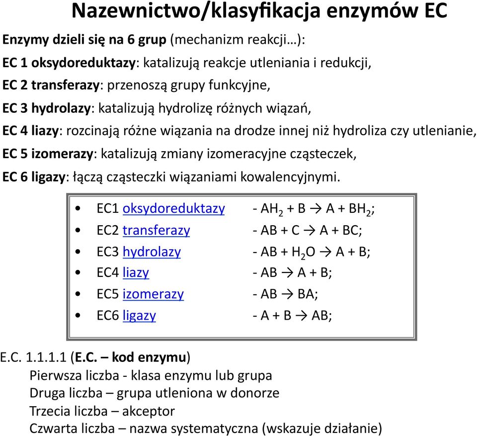 ligazy: łączą cząsteczki wiązaniami kowalencyjnymi.