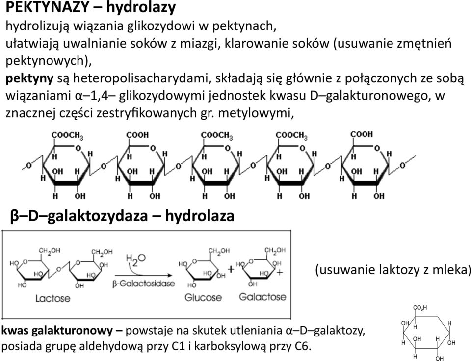 jednostek kwasu D galakturonowego, w znacznej części zestryfikowanych gr.