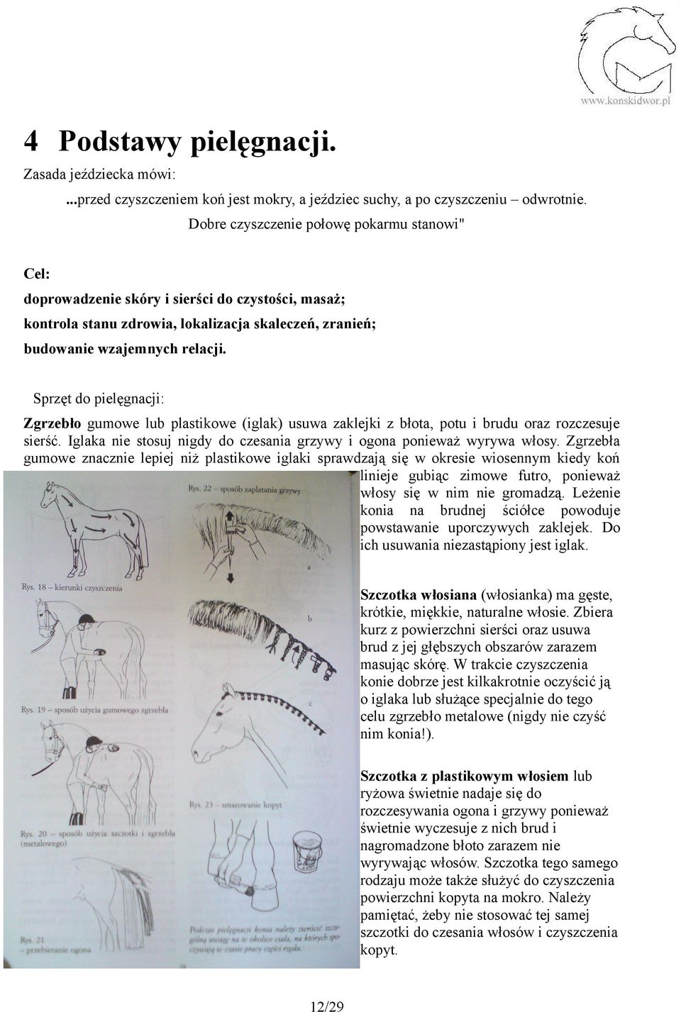 Sprzęt do pielęgnacji: Zgrzebło gumowe lub plastikowe (iglak) usuwa zaklejki z błota, potu i brudu oraz rozczesuje sierść. Iglaka nie stosuj nigdy do czesania grzywy i ogona ponieważ wyrywa włosy.