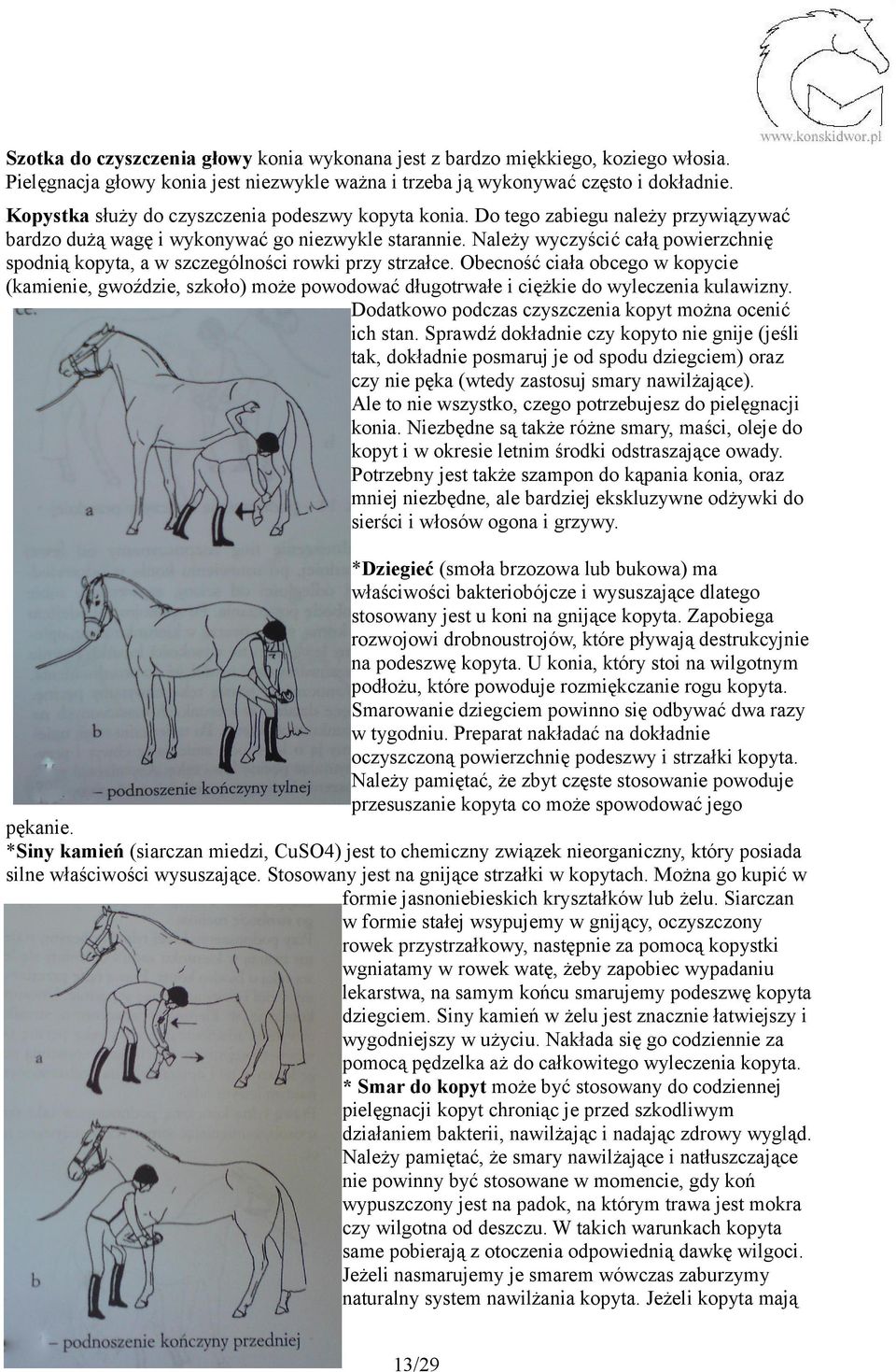 Należy wyczyścić całą powierzchnię spodnią kopyta, a w szczególności rowki przy strzałce.