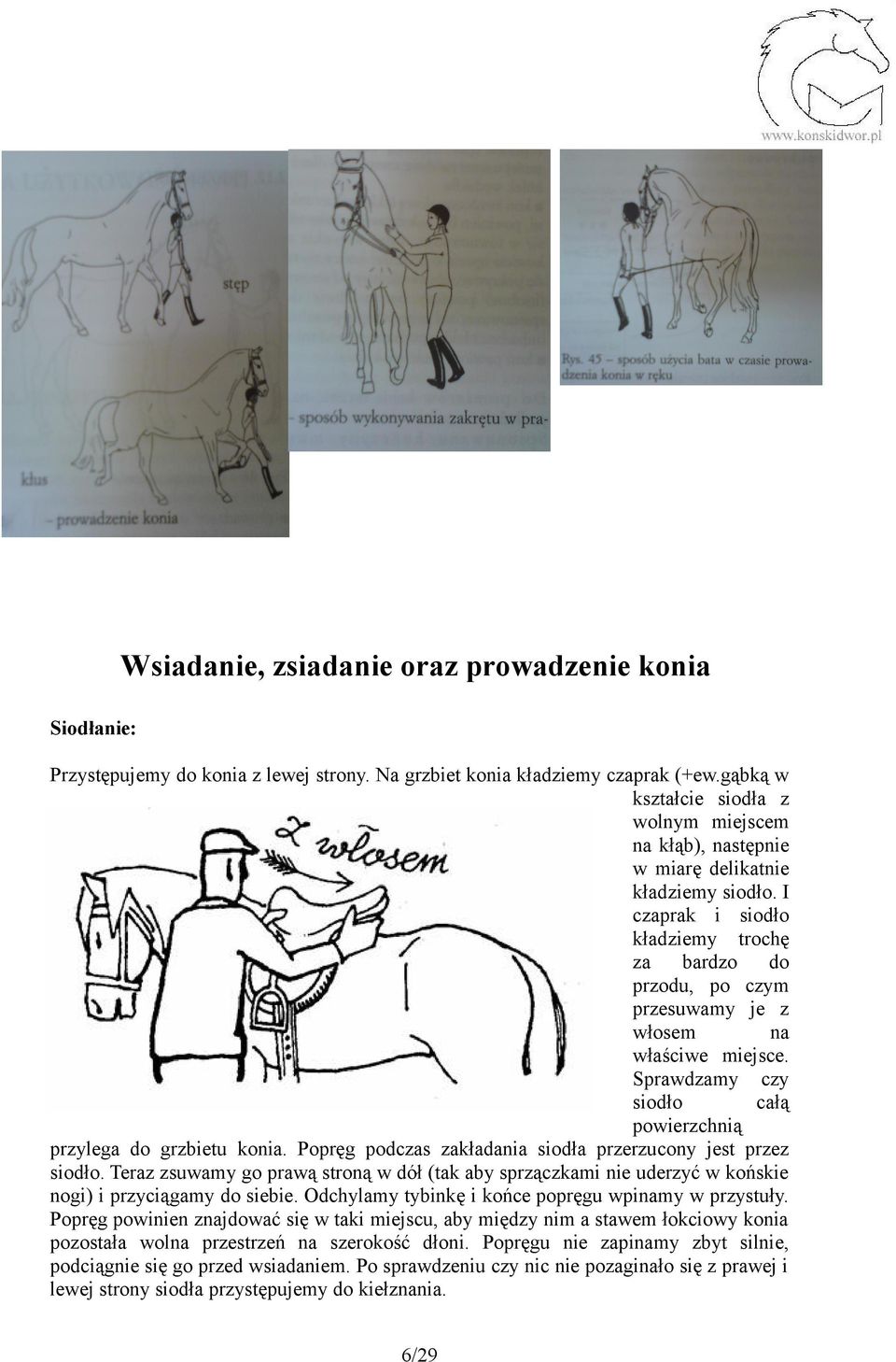 I czaprak i siodło kładziemy trochę za bardzo do przodu, po czym przesuwamy je z włosem na właściwe miejsce. Sprawdzamy czy siodło całą powierzchnią przylega do grzbietu konia.