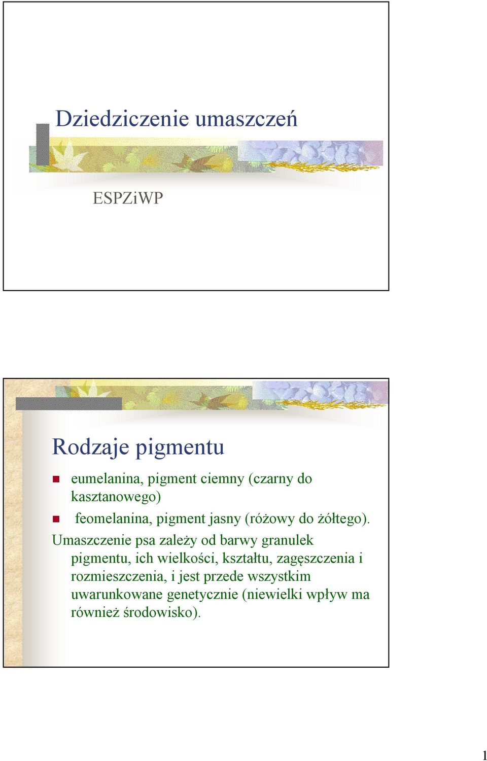 Umaszczenie psa zależy od barwy granulek pigmentu, ich wielkości, kształtu,
