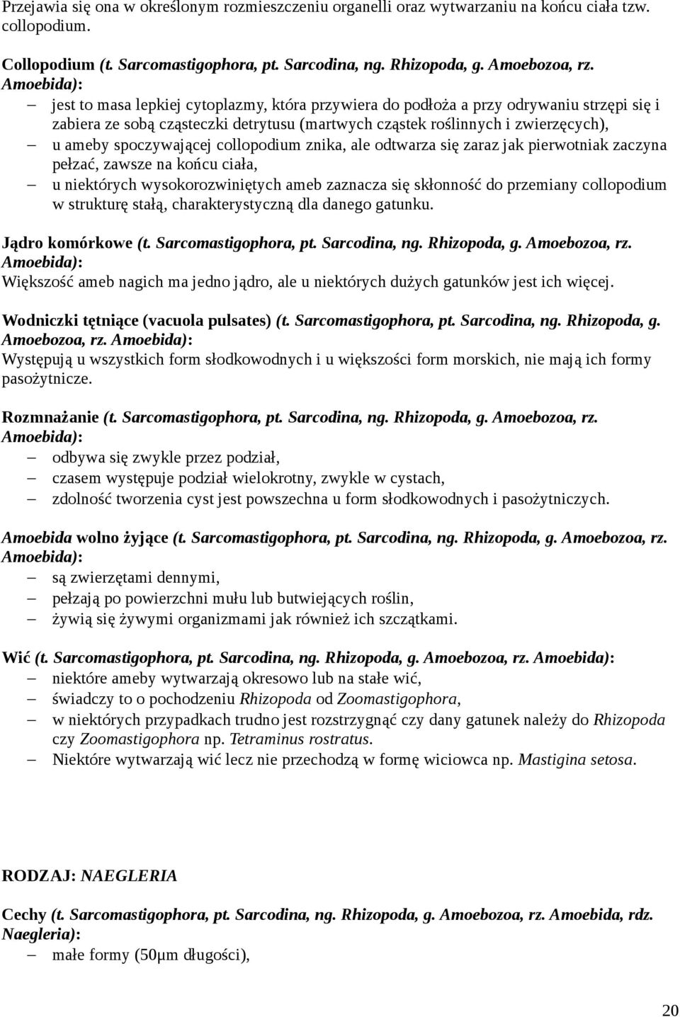 spoczywającej collopodium znika, ale odtwarza się zaraz jak pierwotniak zaczyna pełzać, zawsze na końcu ciała, u niektórych wysokorozwiniętych ameb zaznacza się skłonność do przemiany collopodium w