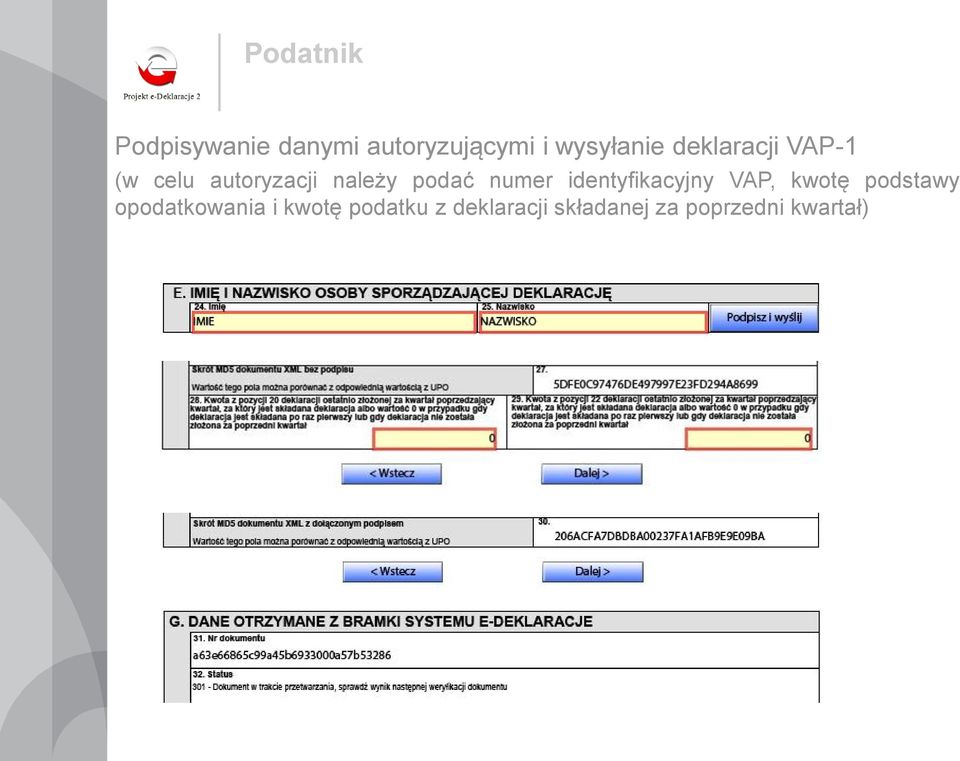 Wysyłanie Deklaracji Vat Dokument Wstępnie Przetworzony Co Oznacza