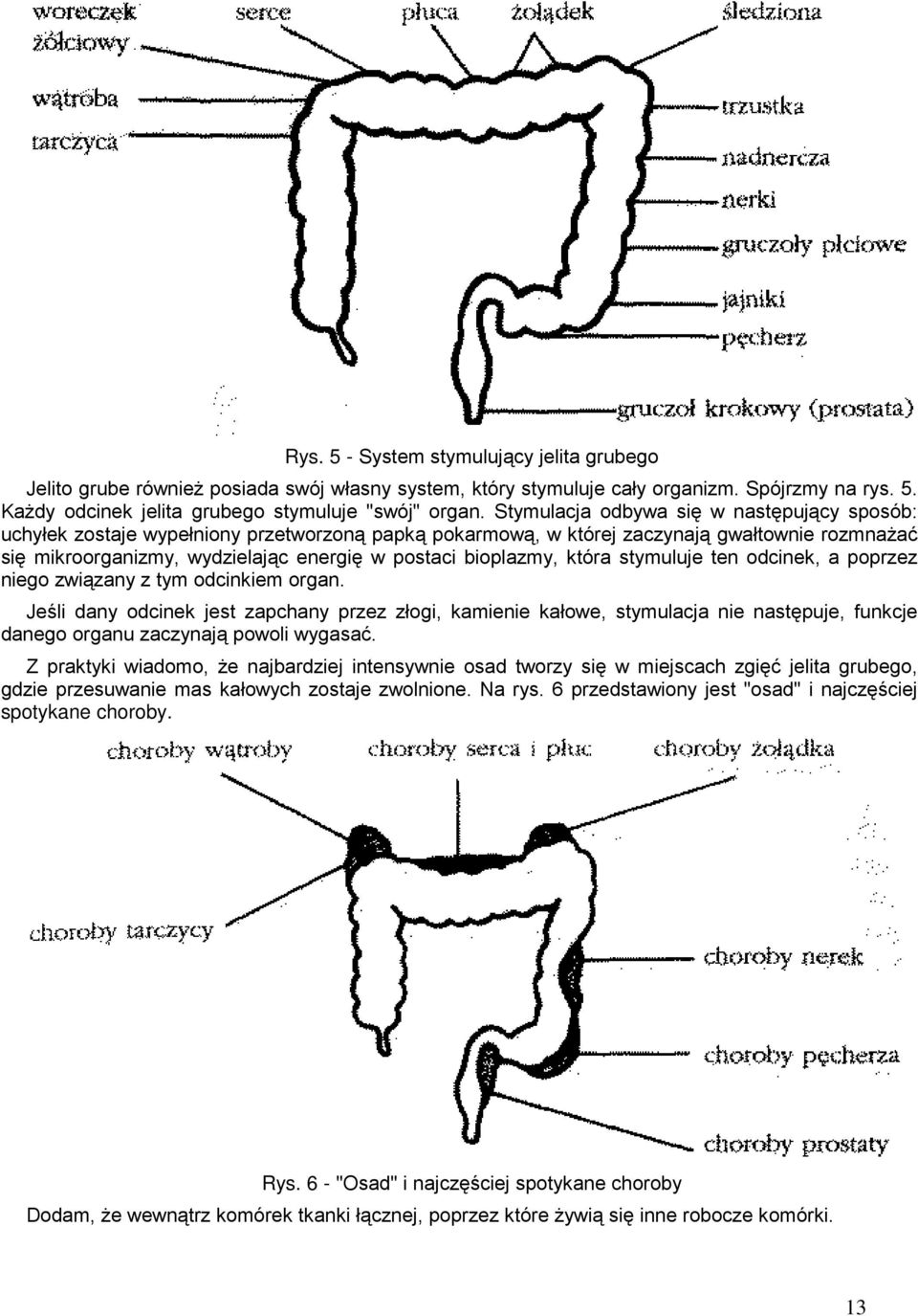 bioplazmy, która stymuluje ten odcinek, a poprzez niego związany z tym odcinkiem organ.