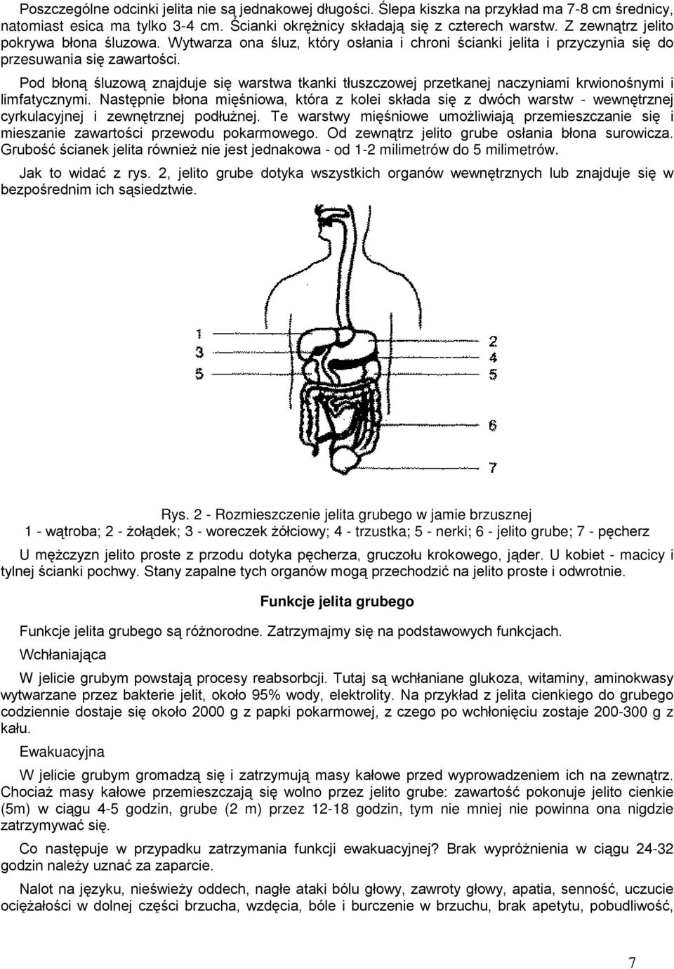 Pod błoną śluzową znajduje się warstwa tkanki tłuszczowej przetkanej naczyniami krwionośnymi i limfatycznymi.