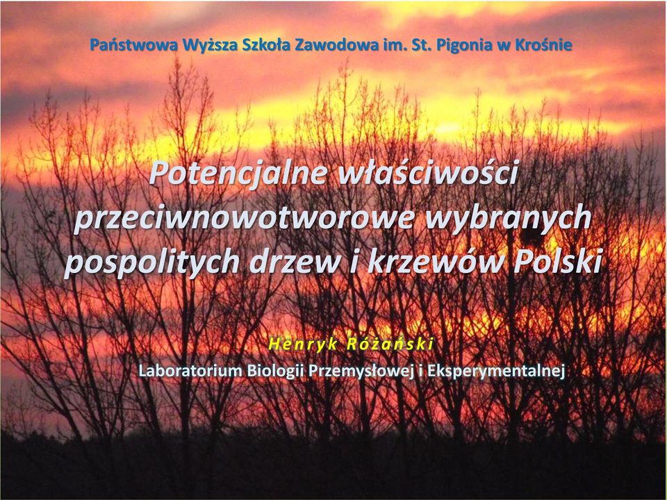 przeciwnowotworowe wybranych pospolitych drzew i krzewów