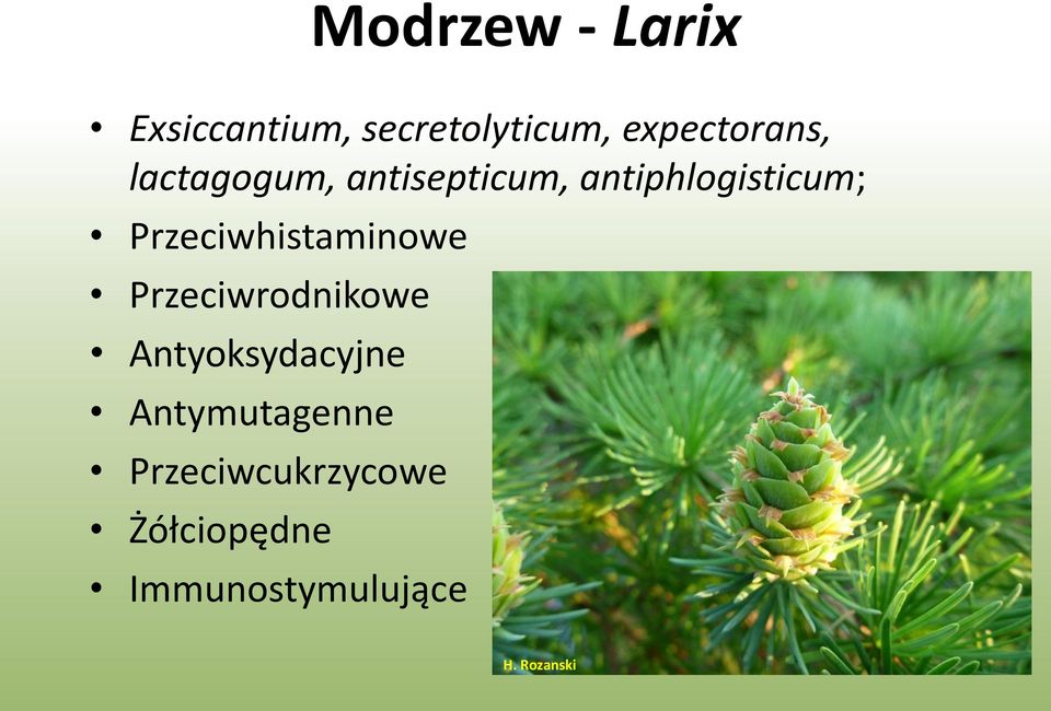 Przeciwhistaminowe Przeciwrodnikowe Antyoksydacyjne
