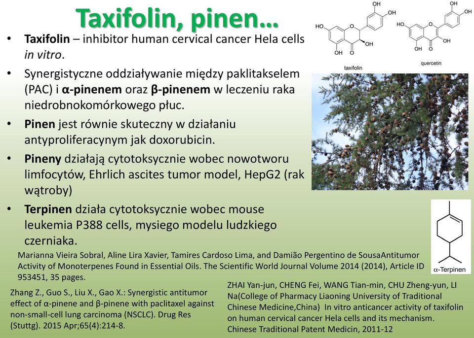 Pinen jest równie skuteczny w działaniu antyproliferacynym jak doxorubicin.