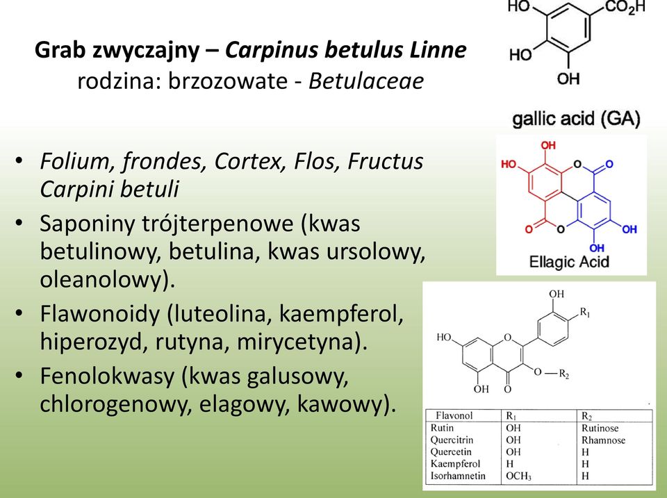 betulinowy, betulina, kwas ursolowy, oleanolowy).