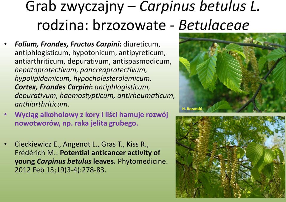antispasmodicum, hepatoprotectivum, pancreaprotectivum, hypolipidemicum, hypocholesterolemicum.