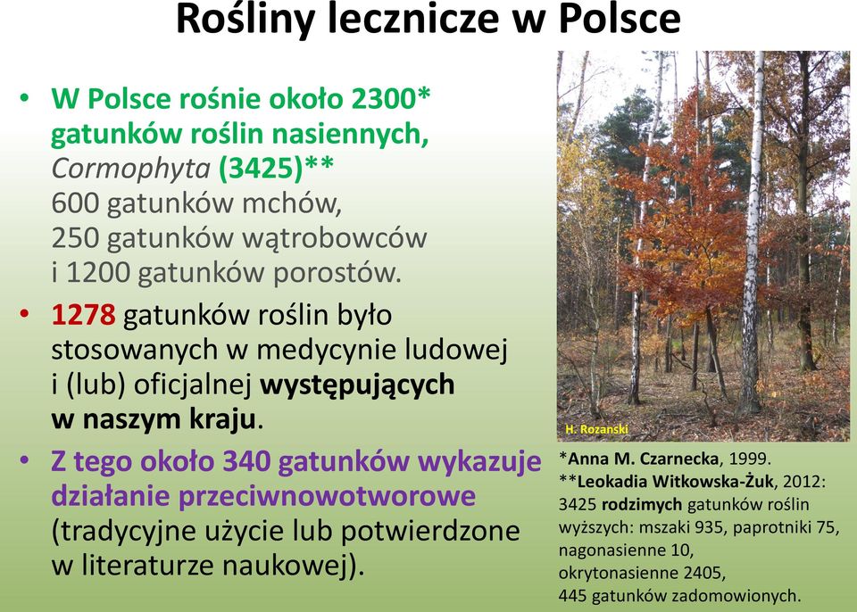 Z tego około 340 gatunków wykazuje działanie przeciwnowotworowe (tradycyjne użycie lub potwierdzone w literaturze naukowej). H. Rozanski *Anna M.