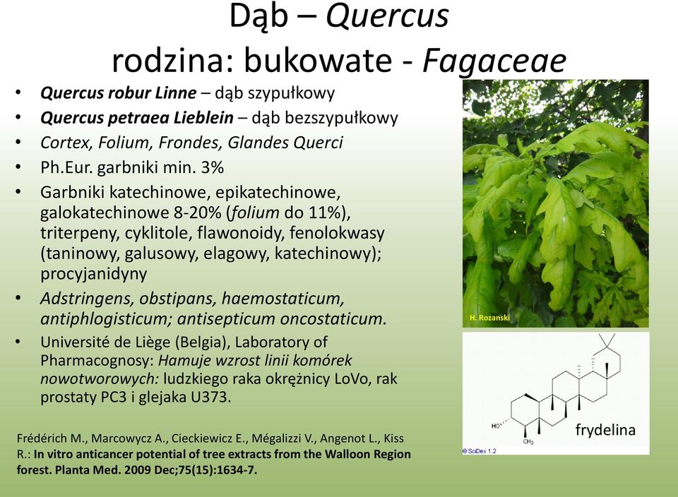 obstipans, haemostaticum, antiphlogisticum; antisepticum oncostaticum.