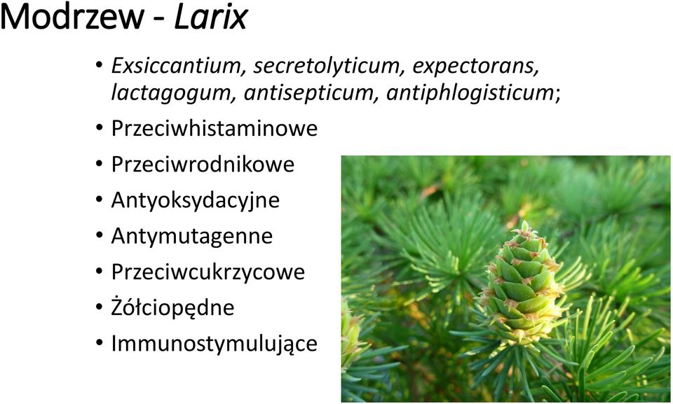 antiphlogisticum; Przeciwhistaminowe Przeciwrodnikowe