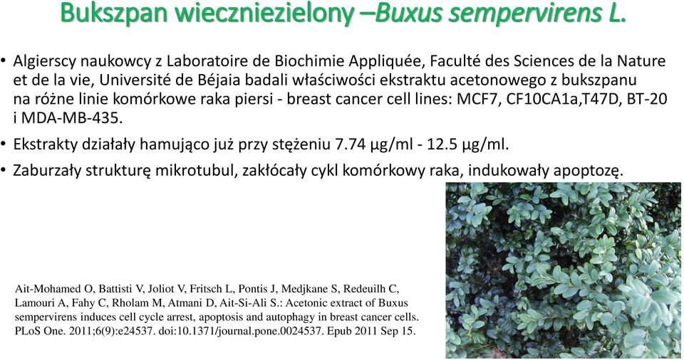 komórkowe raka piersi - breast cancer cell lines: MCF7, CF10CA1a,T47D, BT-20 i MDA-MB-435. Ekstrakty działały hamująco już przy stężeniu 7.74 µg/ml - 12.5 µg/ml.