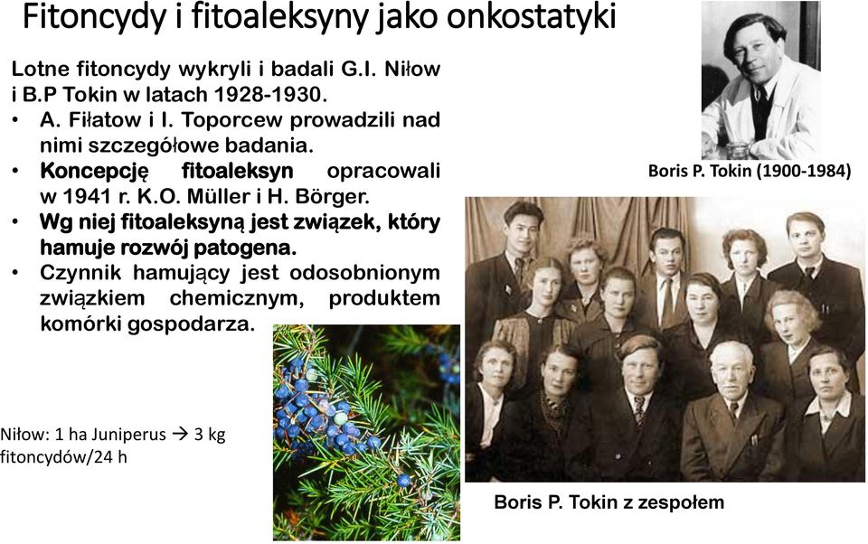 Börger. Wg niej fitoaleksyną jest związek, który hamuje rozwój patogena.
