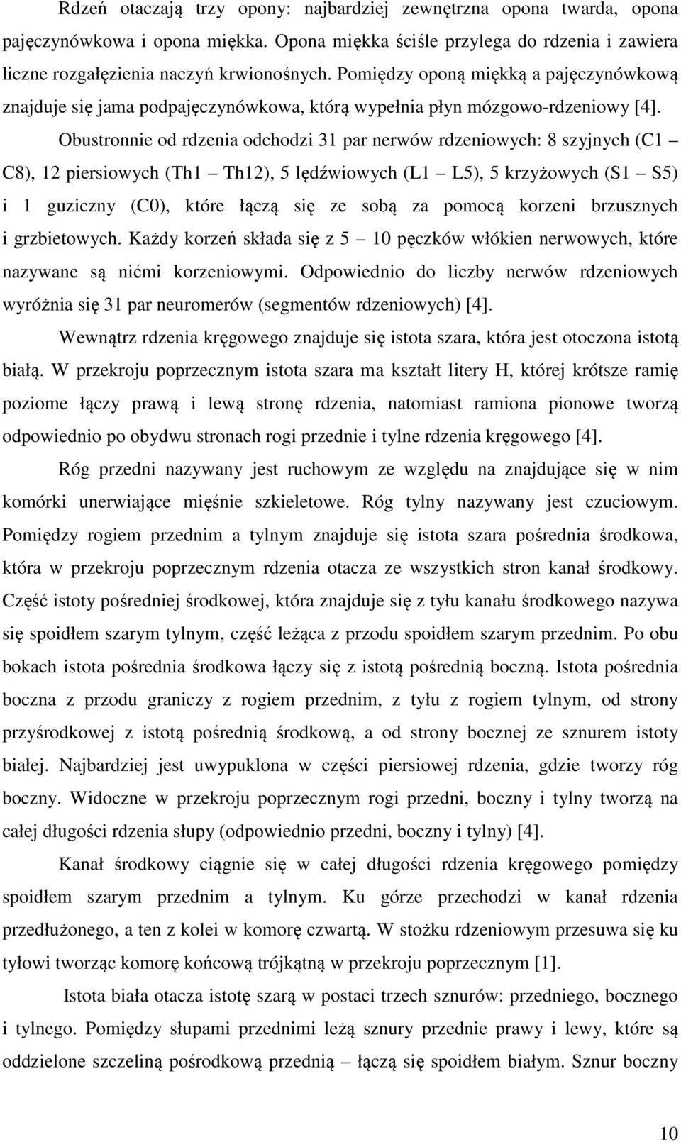 Obustronnie od rdzenia odchodzi 31 par nerwów rdzeniowych: 8 szyjnych (C1 C8), 12 piersiowych (Th1 Th12), 5 lędźwiowych (L1 L5), 5 krzyżowych (S1 S5) i 1 guziczny (C0), które łączą się ze sobą za