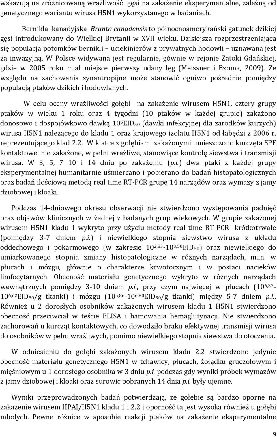 Dzisiejsza rozprzestrzeniająca się populacja potomków bernikli uciekinierów z prywatnych hodowli uznawana jest za inwazyjną.