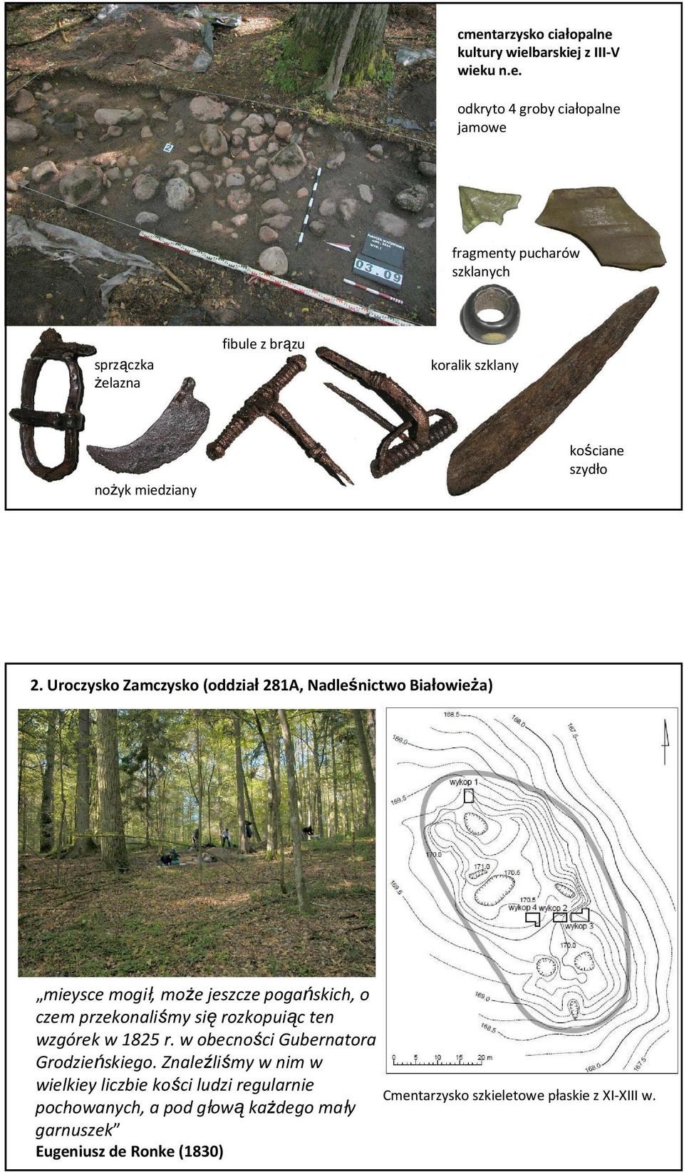 Uroczysko Zamczysko (oddział 281A, Nadleśnictwo Białowieża) mieysce mogił, może jeszcze pogańskich, o czem przekonaliśmy się rozkopuiąc ten