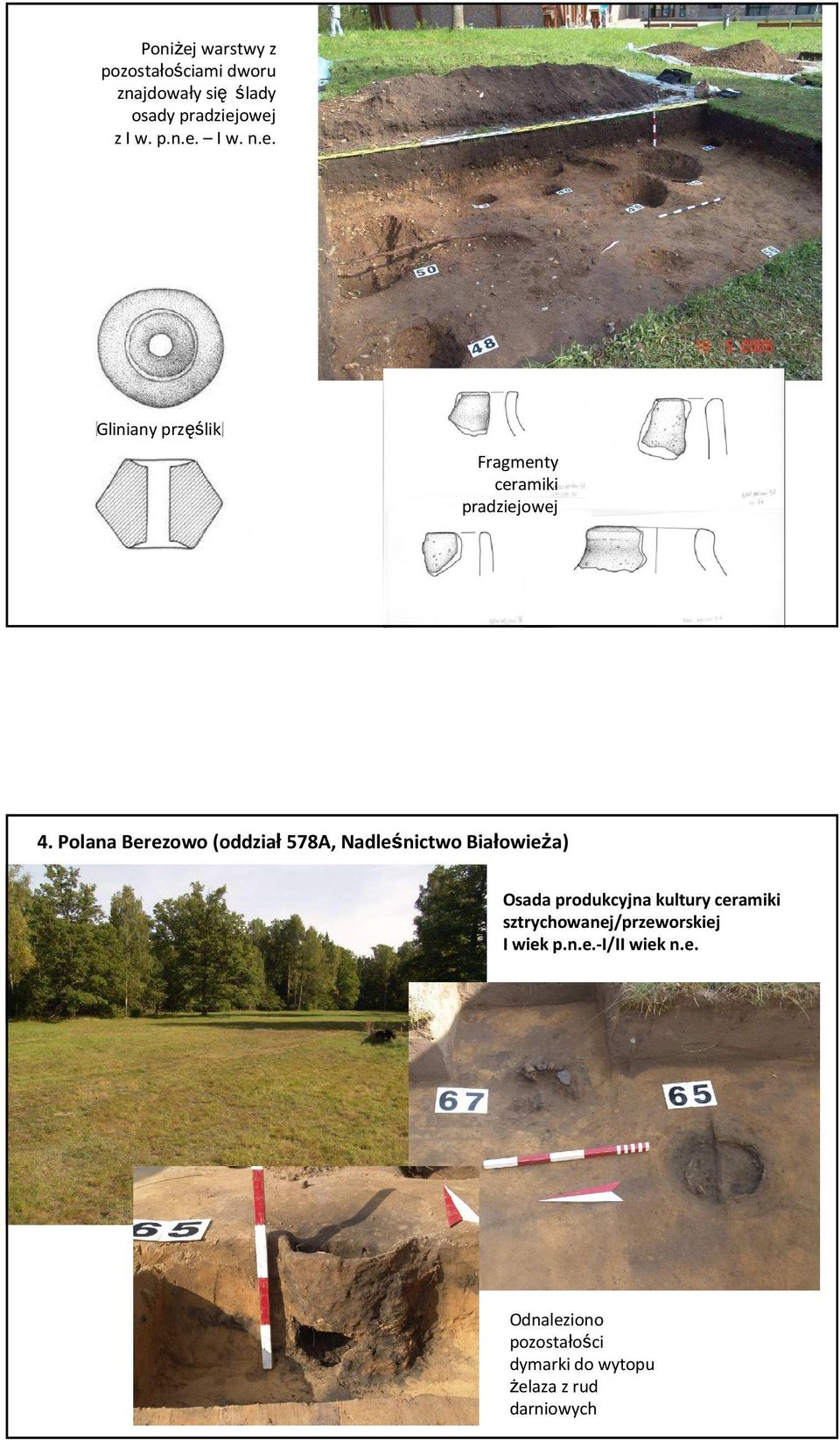 Polana Berezowo(oddział 578A, Nadleśnictwo Białowieża) Osada produkcyjna kultury ceramiki