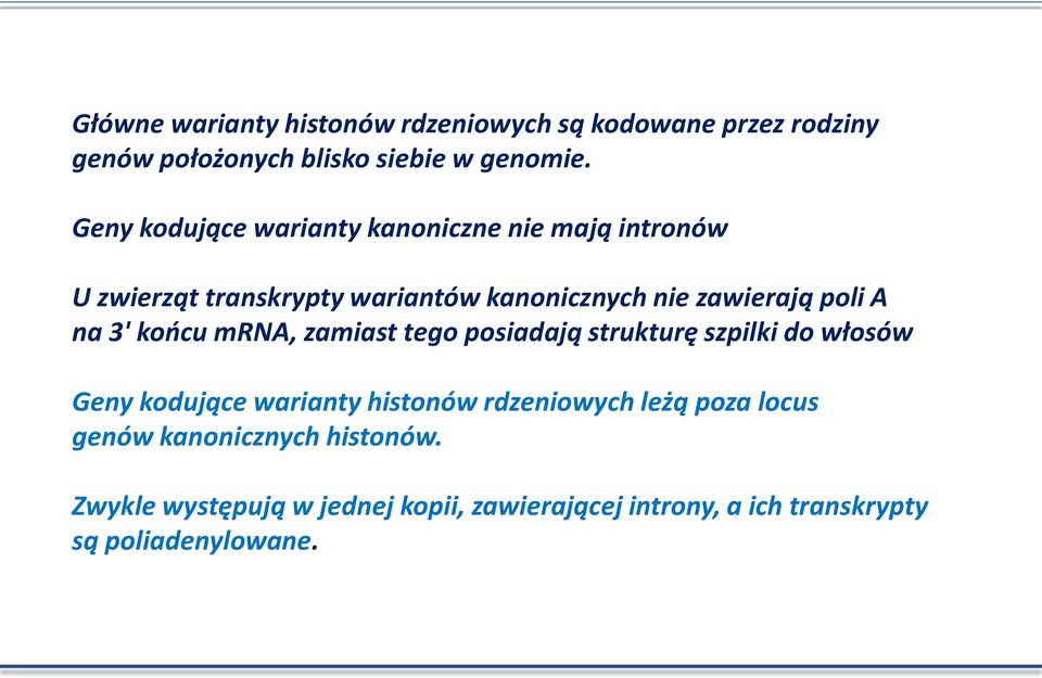 na 3' końcu mrna, zamiast tego posiadają strukturę szpilki do włosów Geny kodujące warianty histonów rdzeniowych leżą