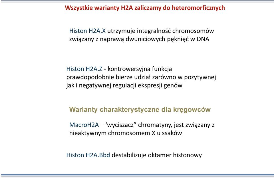 Z - kontrowersyjna funkcja prawdopodobnie bierze udział zarówno w pozytywnej jak i negatywnej regulacji