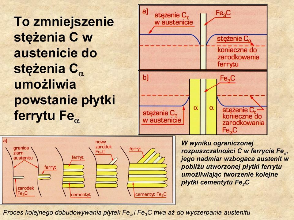 wzbogaca austenit w pobliżu utworzonej płytki ferrytu umożliwiając tworzenie kolejne