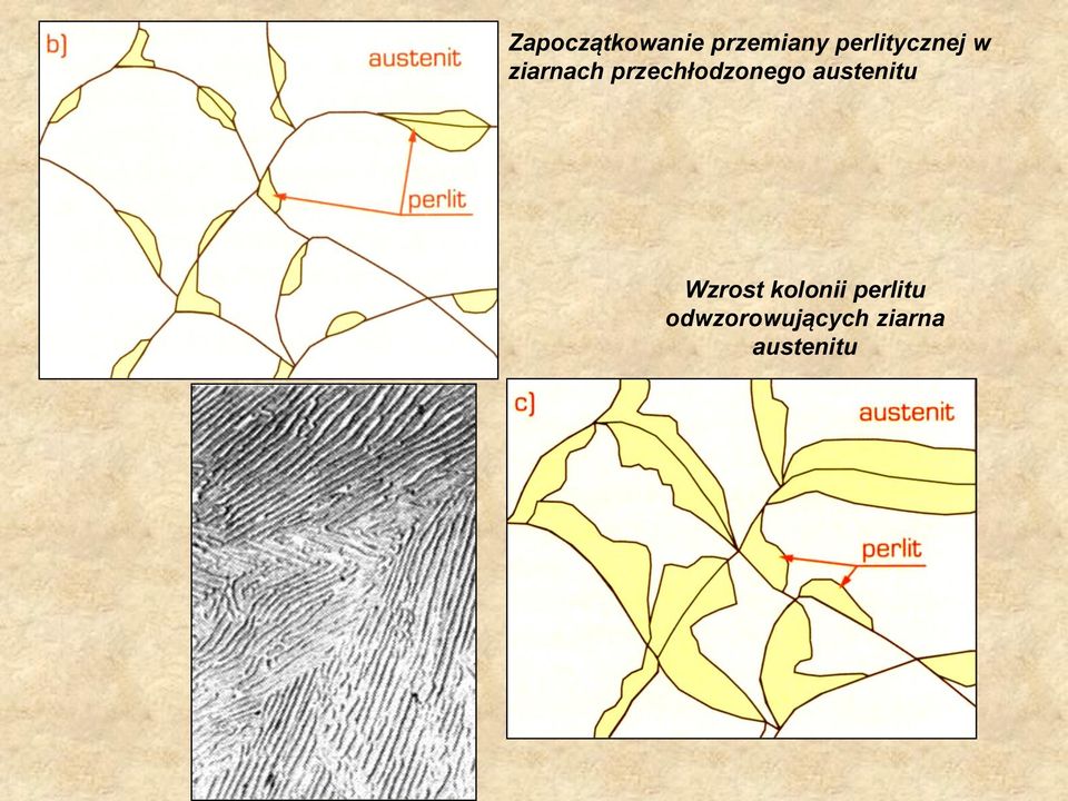 przechłodzonego austenitu Wzrost