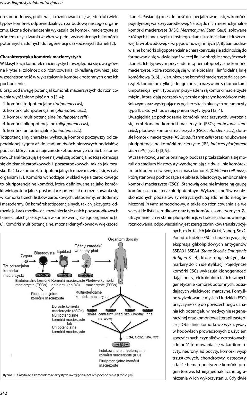 Liczne doświadczenia wykazują, że komórki macierzyste są komórki macierzyste (MSC; Mesenchymal Stem Cells) izolowane pojedynczej warstwy zarodkowej.
