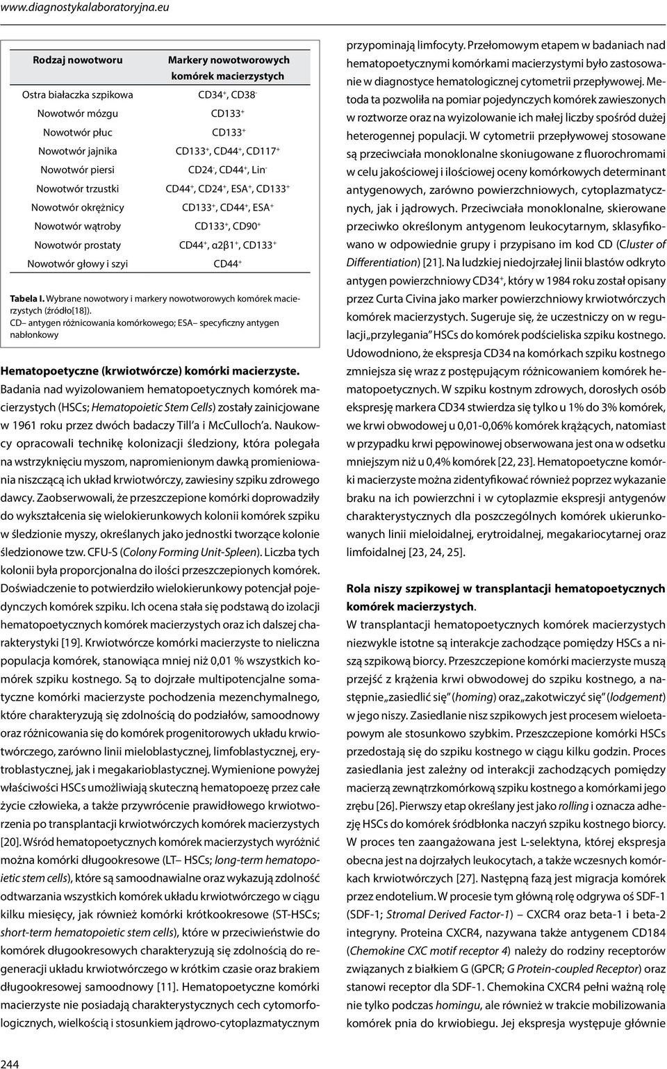 piersi CD24 -, CD44 +, Lin - Nowotwór trzustki CD44 +, CD24 +, ESA +, CD133 + Nowotwór okrężnicy CD133 +, CD44 +, ESA + Nowotwór wątroby CD133 +, CD90 + Nowotwór prostaty CD44 +, α2β1 +, CD133 +