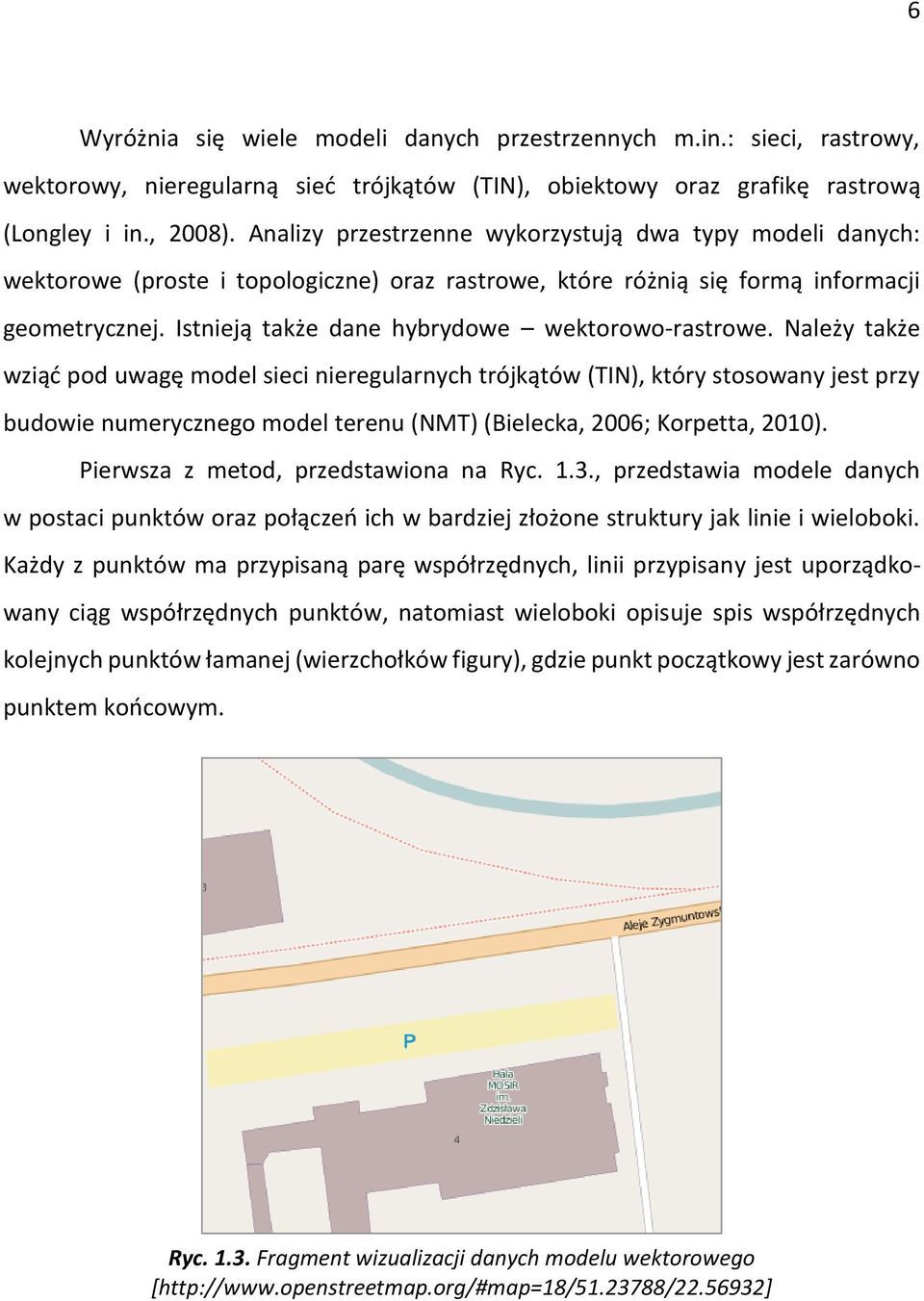 Istnieją także dane hybrydowe wektorowo-rastrowe.