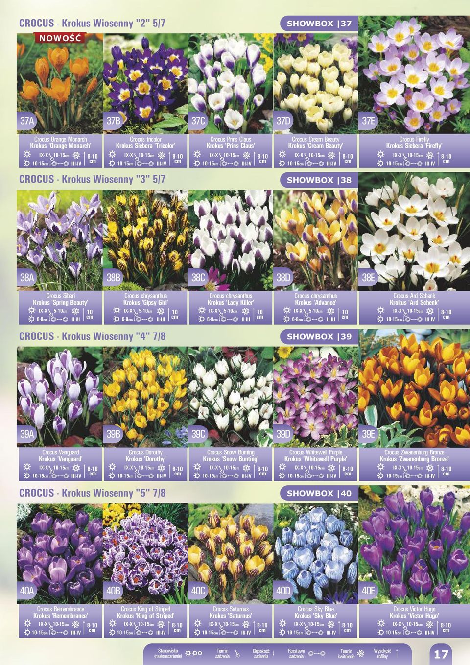 38B 38C 38D 38E Crocus Siberi 'Spring Beauty' 5-10 10 6-8 II-III Crocus chrysanthus 'Gipsy Girl' 5-10 6-8 II-III 10 Crocus chrysanthus 'Lady Killer' 5-10 10 6-8 II-III Crocus chrysanthus 'Advance'