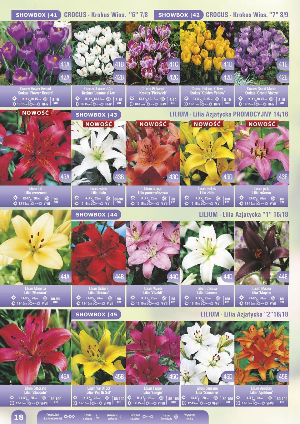 10-15 10-15 III-I 8-10 Crocus Golden Yellow 'Golden Yellow' 10-15 10-15 III-I 8-10 Crocus Grand Maitre 'Grand Maitre' SHOWBOX 43 LILIUM - Azjatycka PROMOCYJNY 14/16 NOWOŚĆ NOWOŚĆ NOWOŚĆ 10-15 10-15