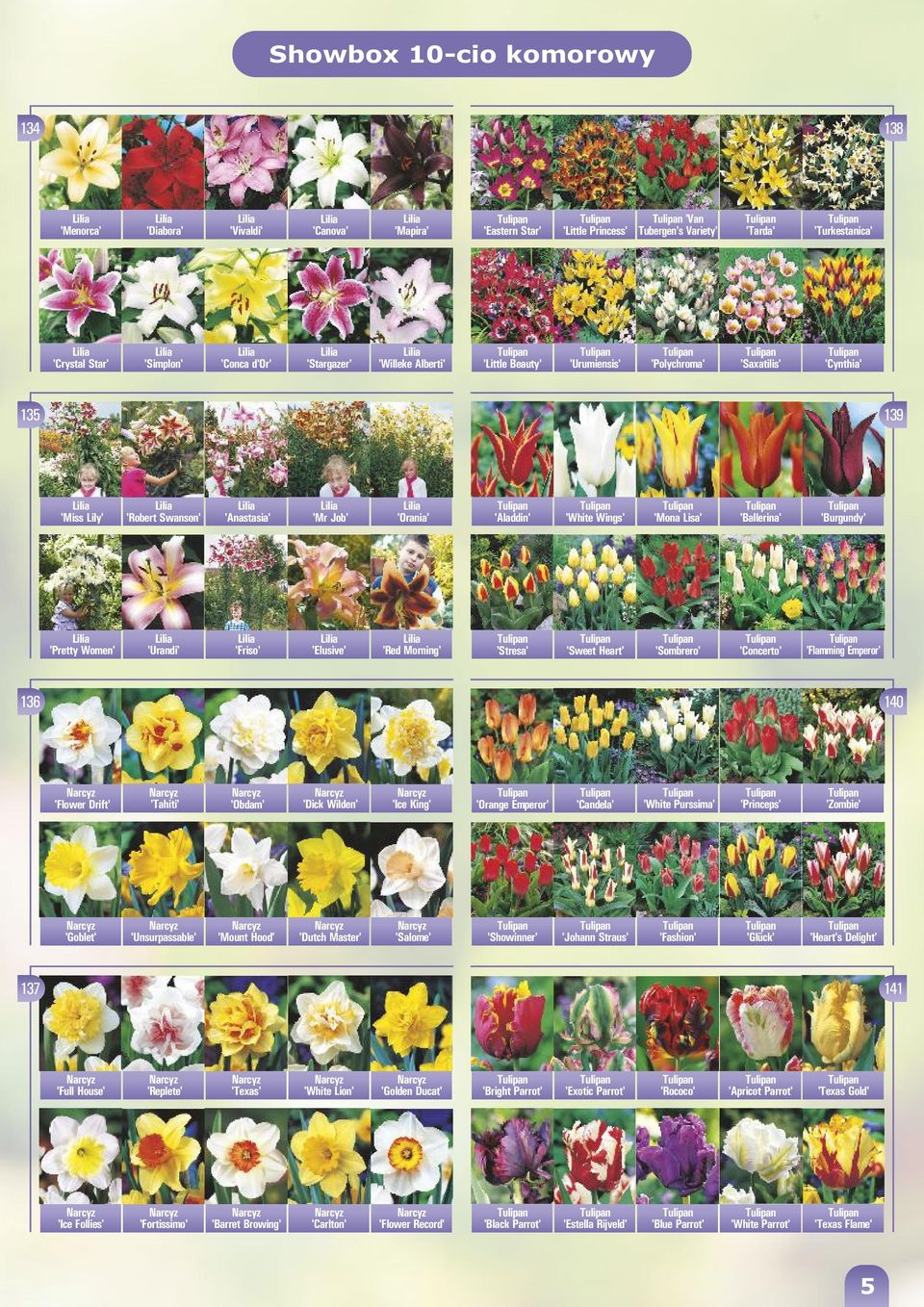 'Ballerina' 'Burgundy' 'Pretty Women' 'Urandi' 'Friso' 'Elusive' 'Red Morning' 'Stresa' 'Sweet Heart' 'Sombrero' 'Concerto' 'Flamming Emperor' 136 1 'Flower Drift' 'Tahiti' 'Obdam' 'Dick Wilden' 'Ice