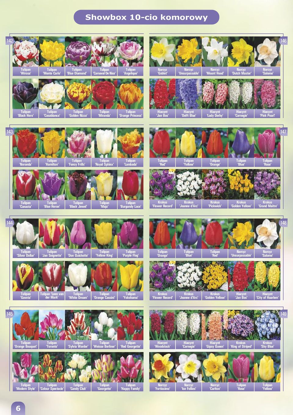 'Rose' 'Canasta' 'Blue Heron' 'Black Jewel' 'Maja' 'Burgundy Lace' 'Flower Record' 'Jeanne d'arc' 'Pickwick' 'Golden Yellow' 'Grand Maitre' 144 148 'Silver Dollar' 'Jan Seignette' 'Don Quichotte'