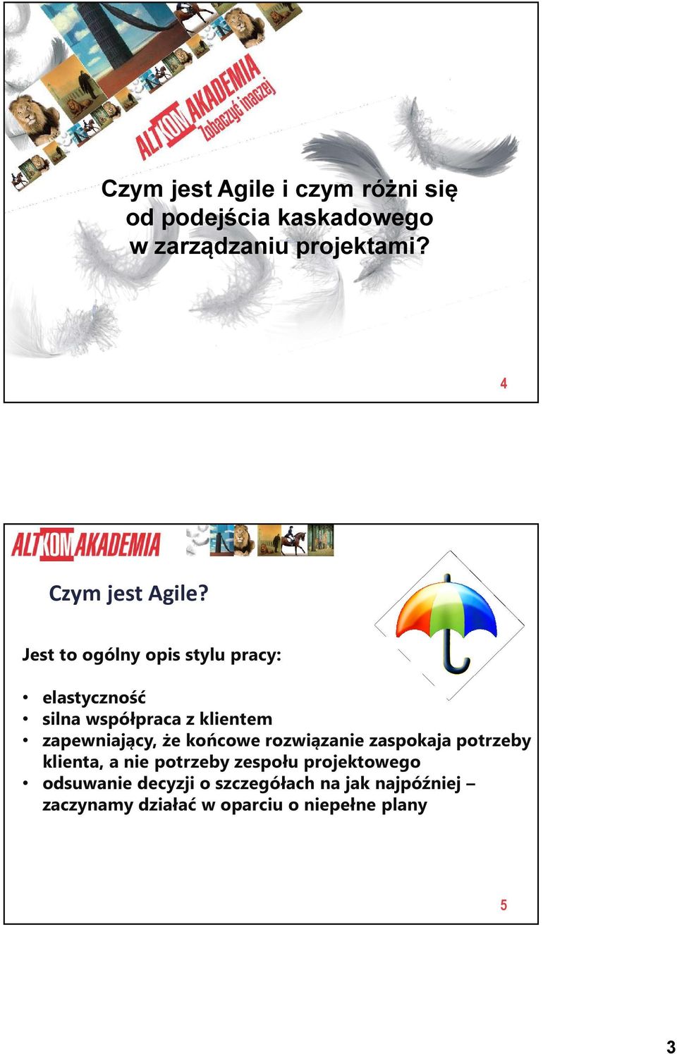 Jest to ogólny opis stylu pracy: A G I L E elastyczność silna współpraca z klientem