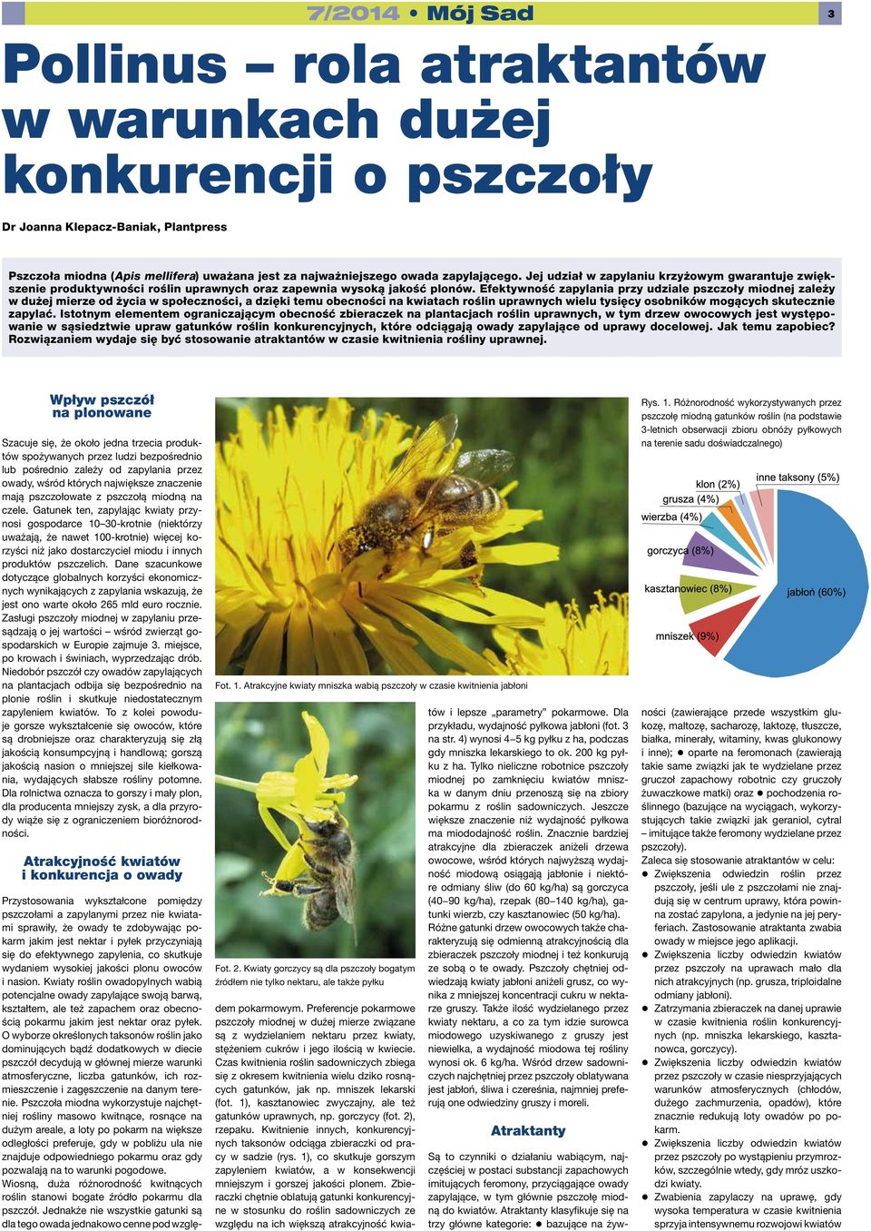Efektywność zapylania przy udziale pszczoły miodnej zależy w dużej mierze od życia w społeczności, a dzięki temu obecności na kwiatach roślin uprawnych wielu tysięcy osobników mogących skutecznie