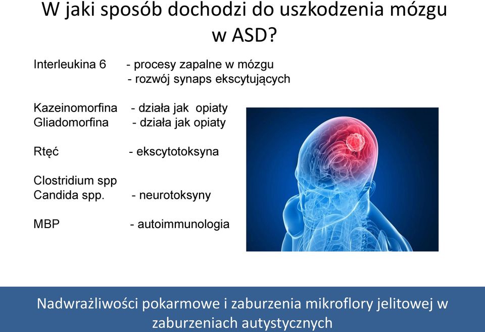 Candida spp.