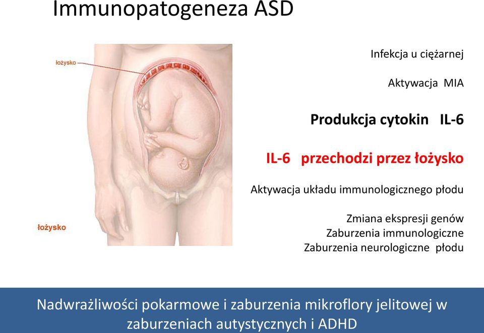 Aktywacja układu immunologicznego płodu Zmiana ekspresji