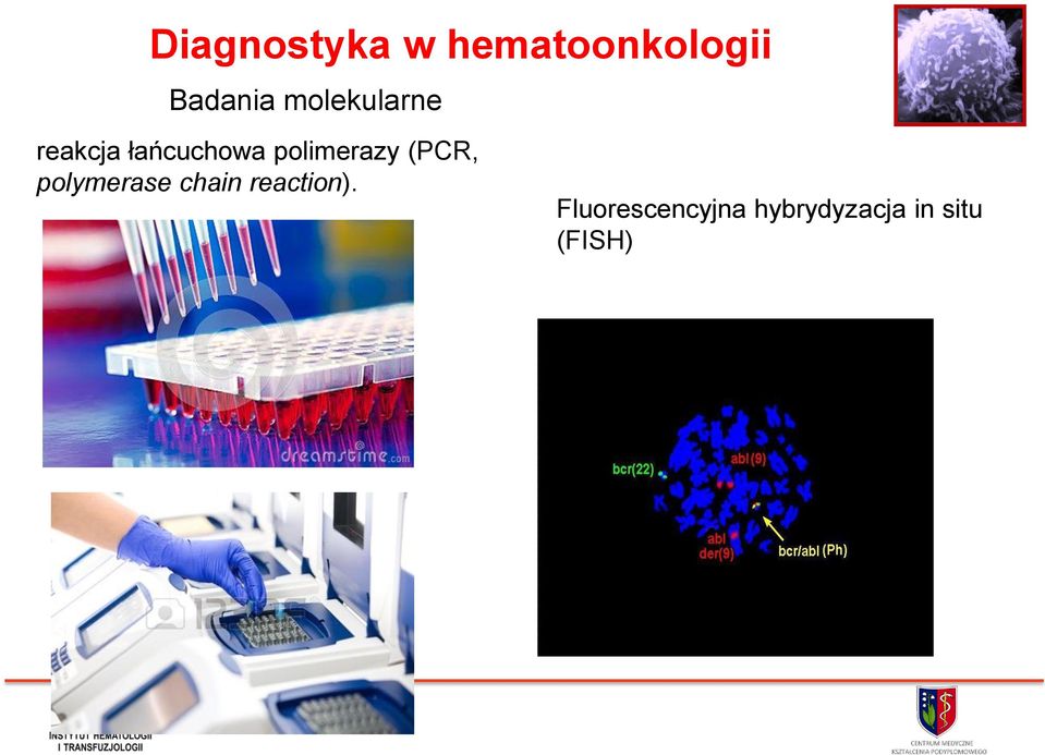 polimerazy (PCR, polymerase chain