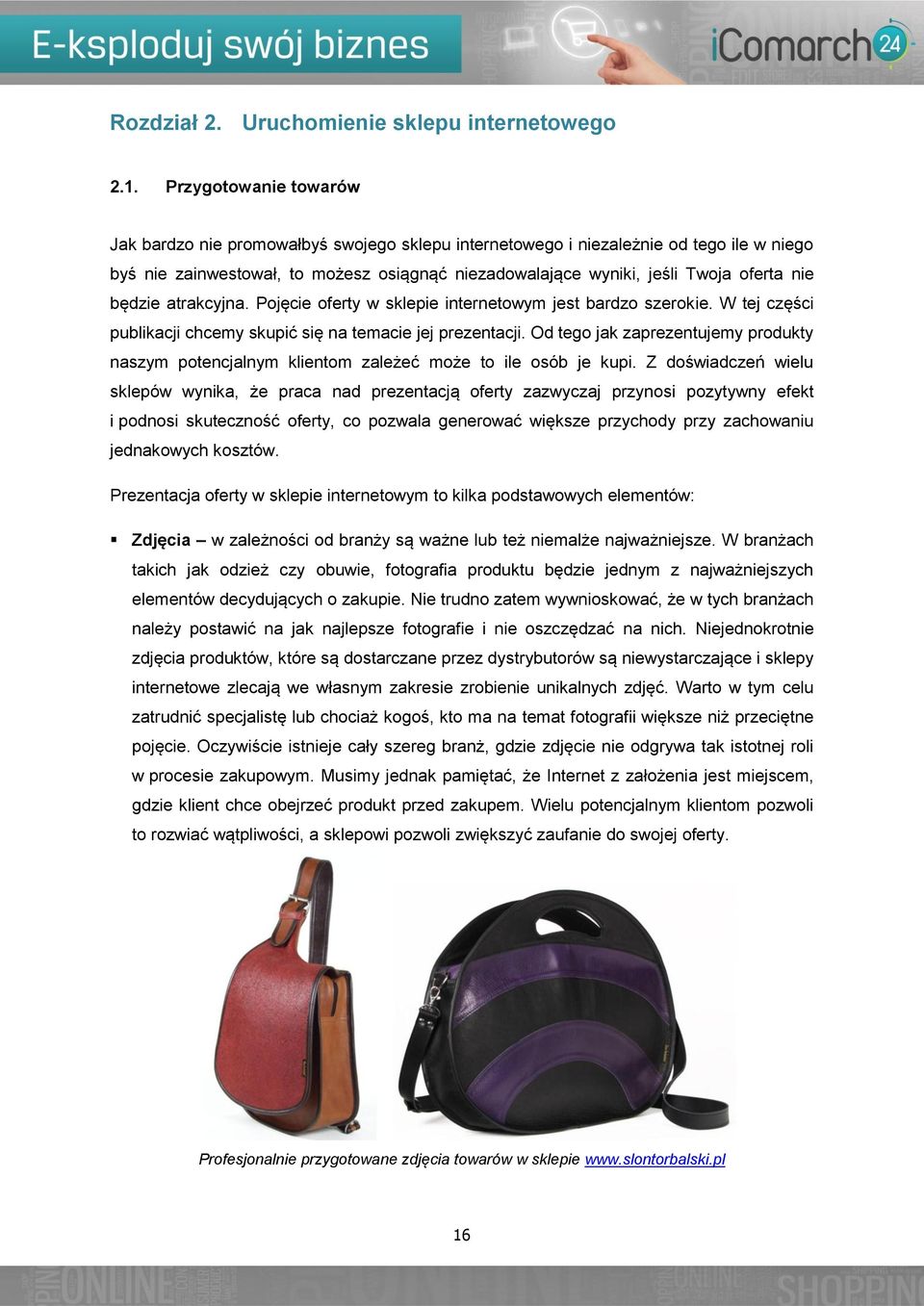 będzie atrakcyjna. Pojęcie oferty w sklepie internetowym jest bardzo szerokie. W tej części publikacji chcemy skupić się na temacie jej prezentacji.