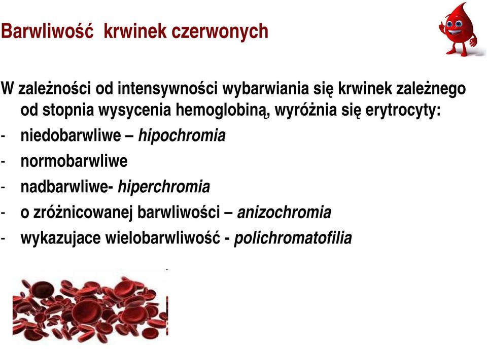 niedobarwliwe hipochromia - normobarwliwe - nadbarwliwe- hiperchromia - o