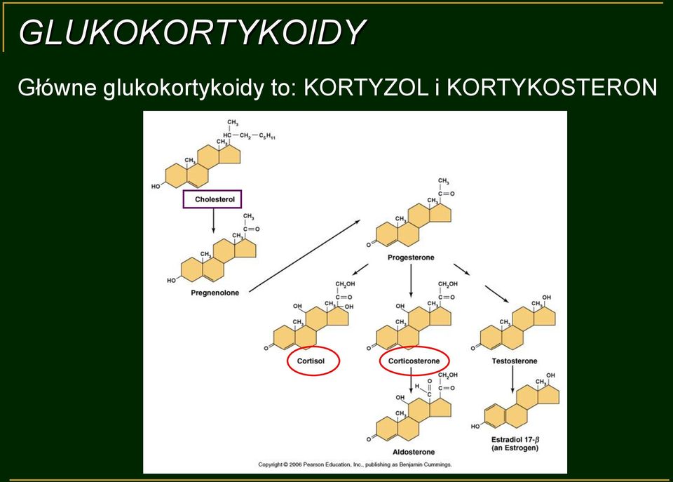 glukokortykoidy