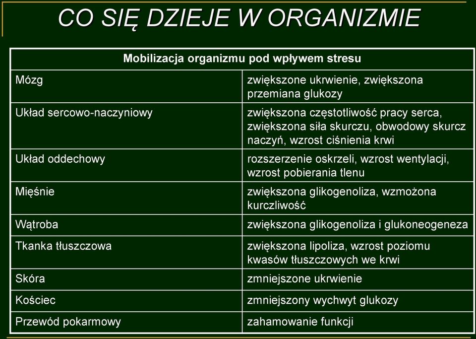 naczyń, wzrost ciśnienia krwi rozszerzenie oskrzeli, wzrost wentylacji, wzrost pobierania tlenu zwiększona glikogenoliza, wzmożona kurczliwość zwiększona