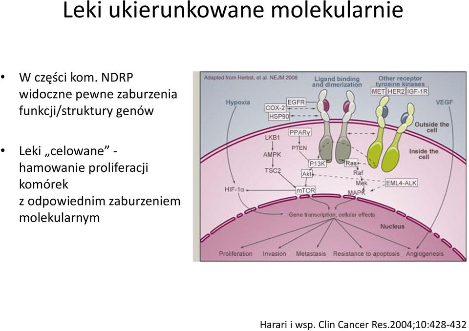 Leki celowane - hamowanie proliferacji komórek z