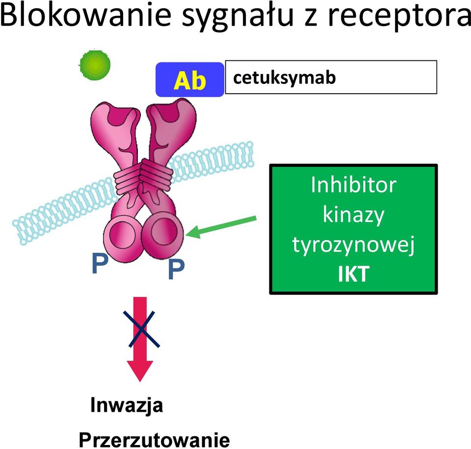 P Inhibitor kinazy