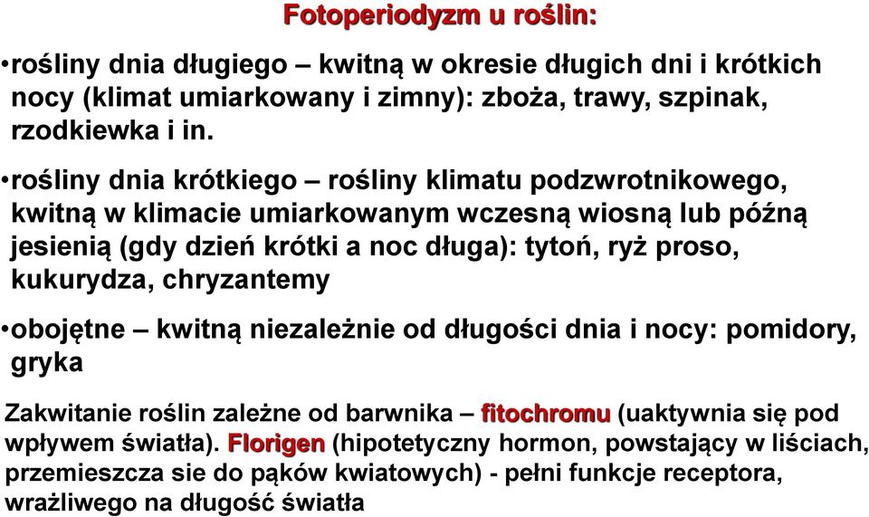 proso, kukurydza, chryzantemy obojętne kwitną niezależnie od długości dnia i nocy: pomidory, gryka Zakwitanie roślin zależne od barwnika fitochromu (uaktywnia się